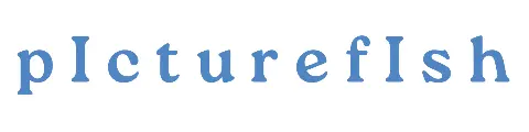 picturefish.odoo.com